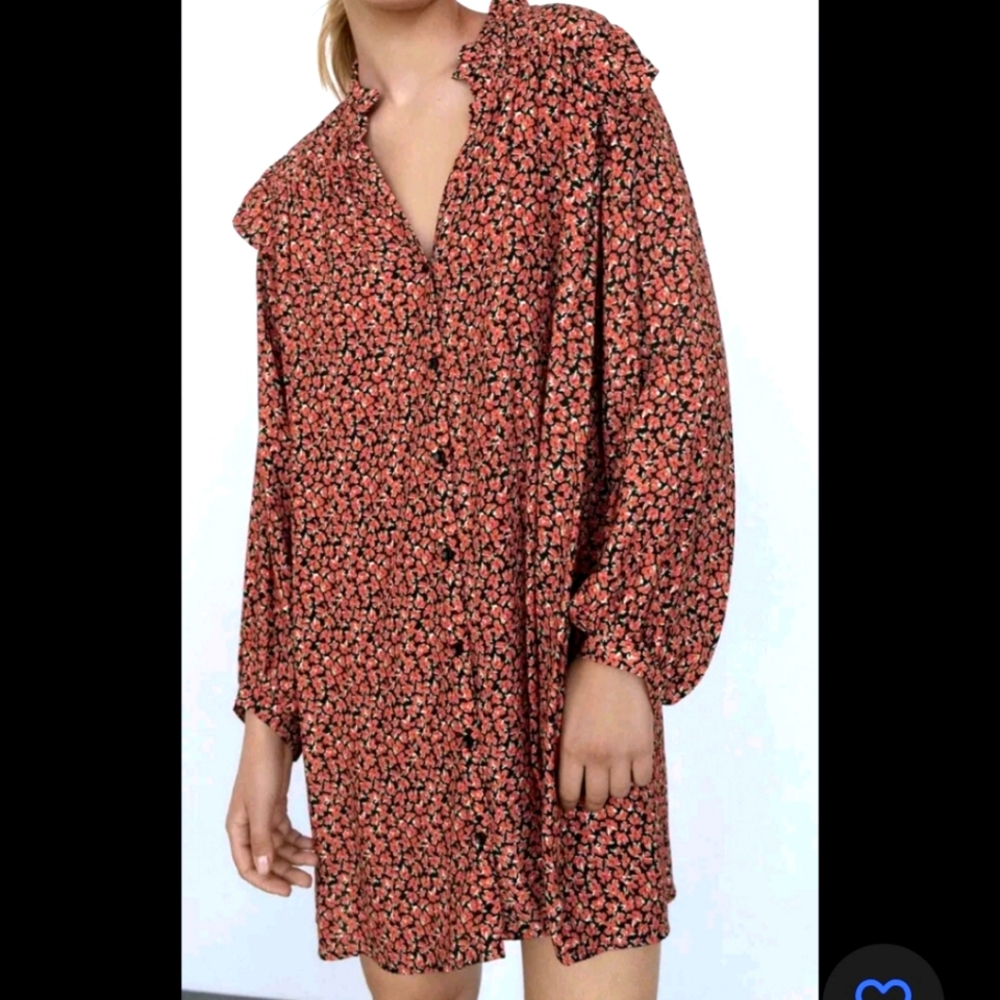 Zara dress